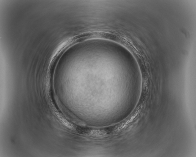 X0000111370101200907101219