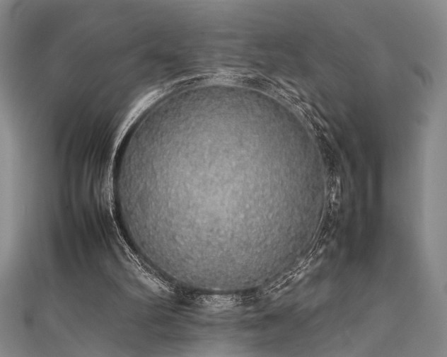 X0000111370102200907101219