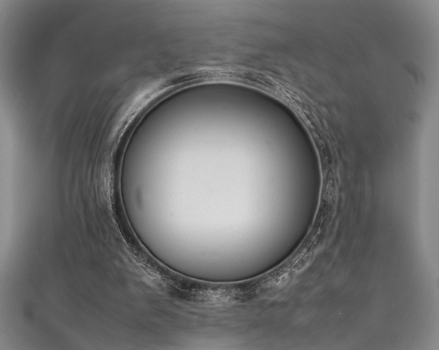 X0000111370103200907101219