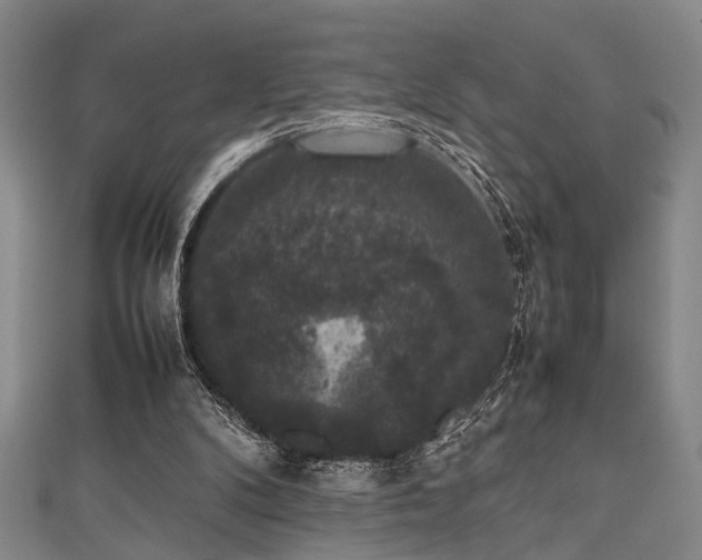 X0000111370104200907101219