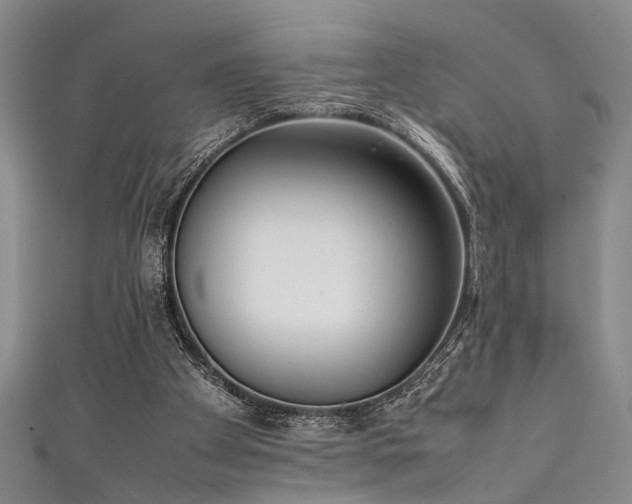 X0000111370105200907101219