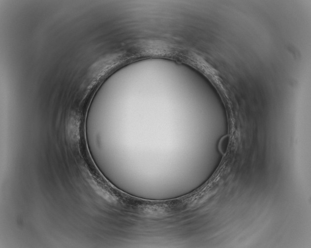 X0000111370106200907101219