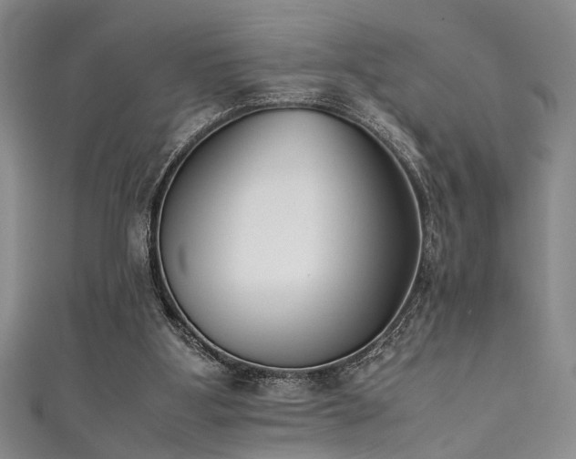 X0000111370107200907101219