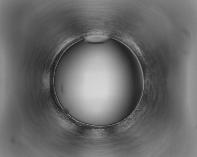 X0000111370108200907101219