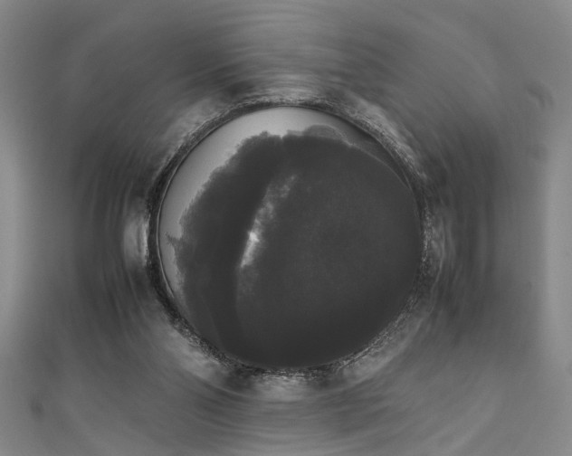 X0000111370110200907101219