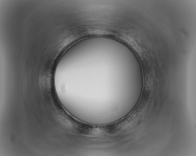 X0000111370111200907101219