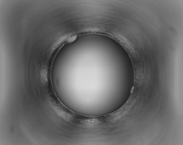 X0000111370112200907101219