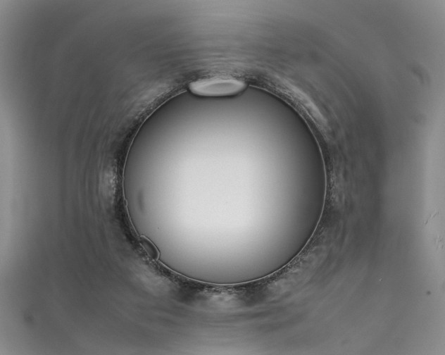 X0000111370113200907101219