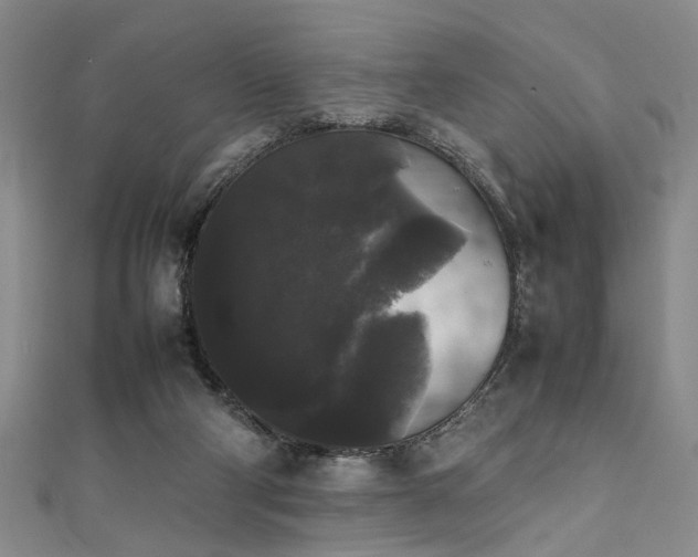 X0000111370114200907101219