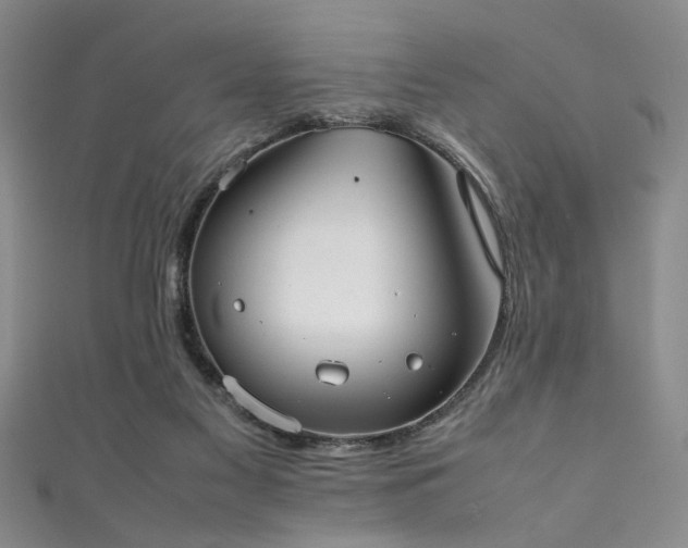 X0000111370117200907101219