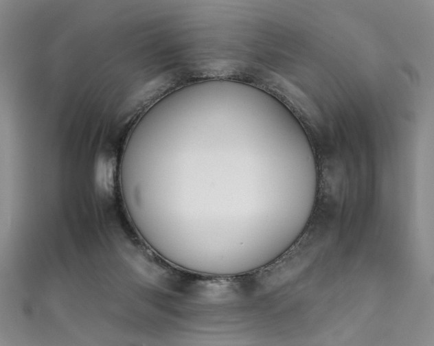 X0000111370118200907101219