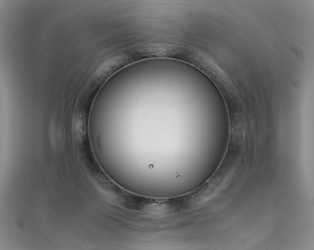 X0000111370119200907101219