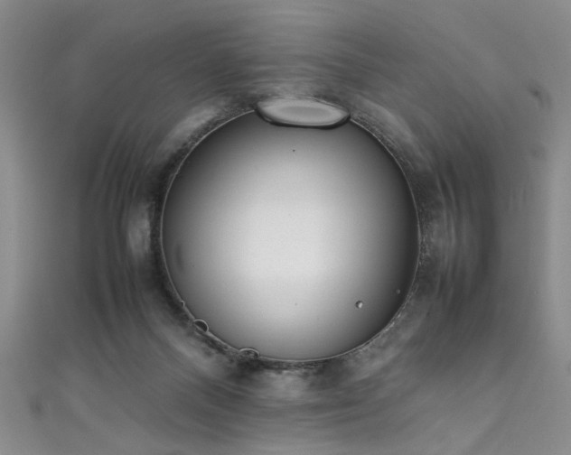 X0000111370120200907101219