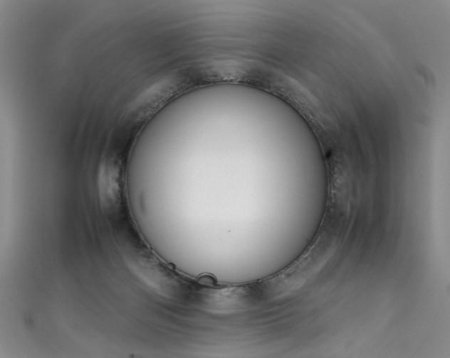 X0000111370122200907101219