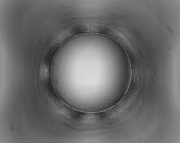 X0000111370123200907101219