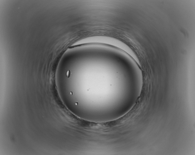 X0000111370125200907101219