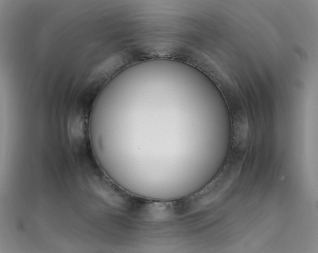 X0000111370126200907101219