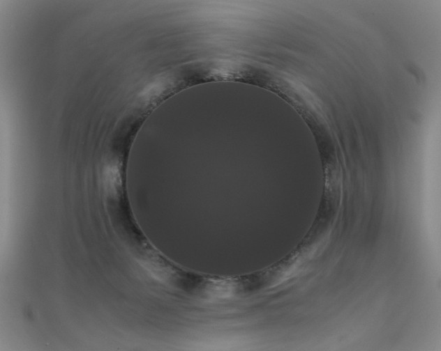 X0000111370127200907101219