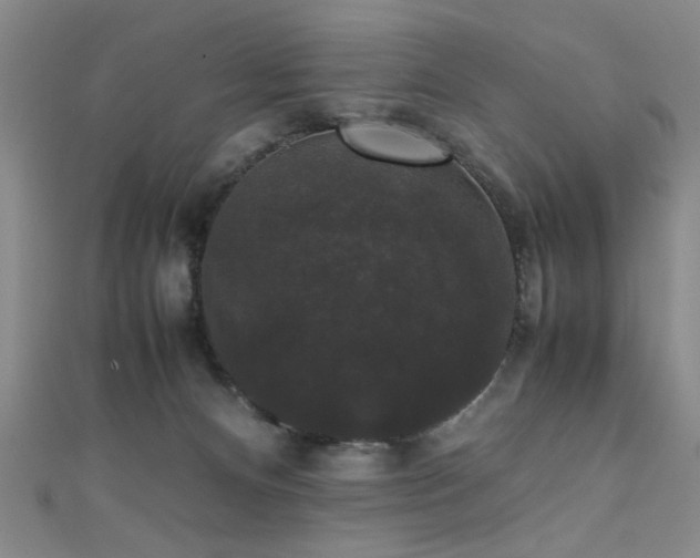 X0000111370128200907101219