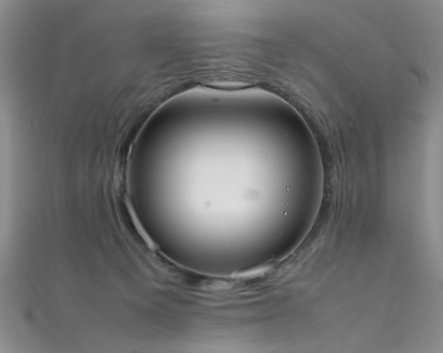 X0000111370129200907101219