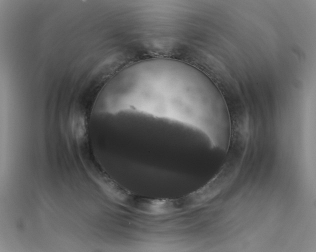 X0000111370130200907101219