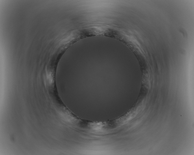 X0000111370131200907101219