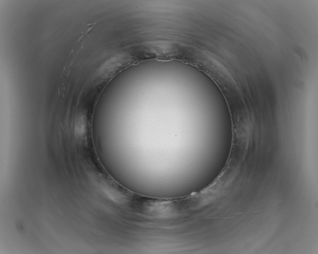 X0000111370132200907101219