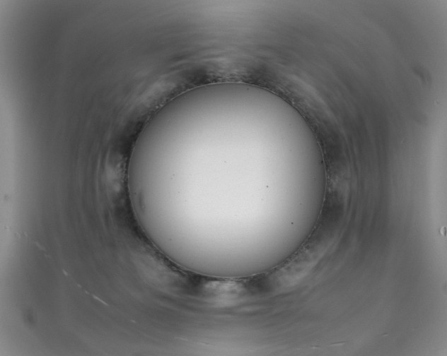 X0000111370133200907101219