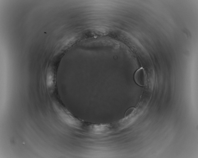 X0000111370134200907101219