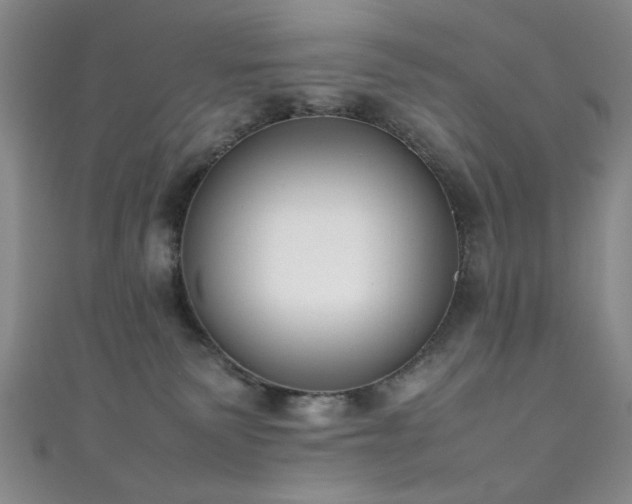 X0000111370135200907101219