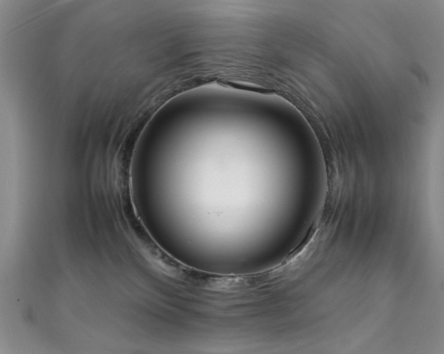 X0000111370136200907101219