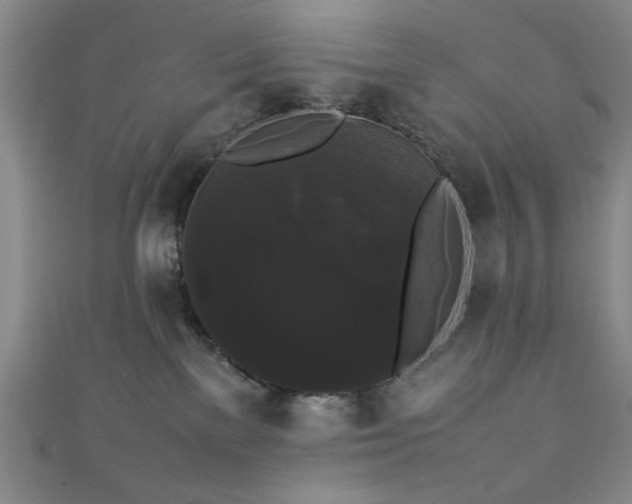 X0000111370137200907101219