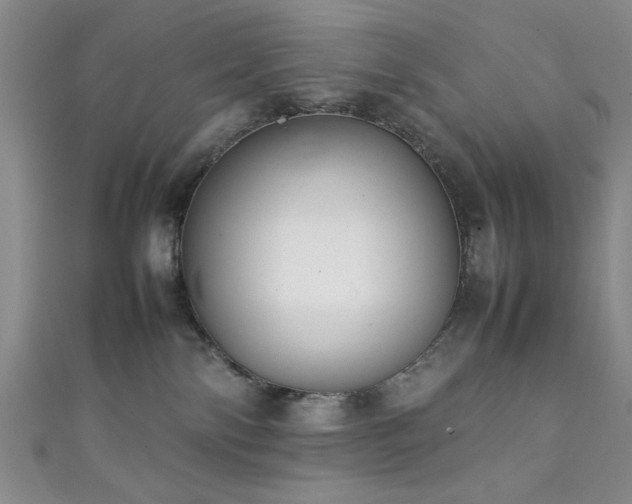 X0000111370138200907101219