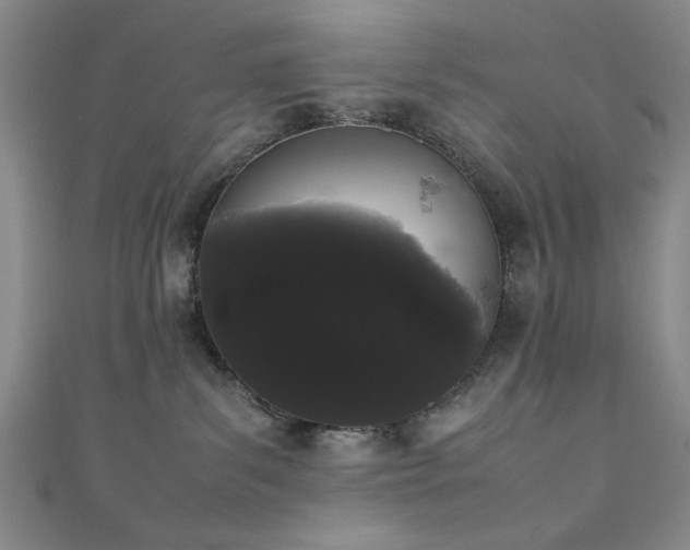 X0000111370139200907101219