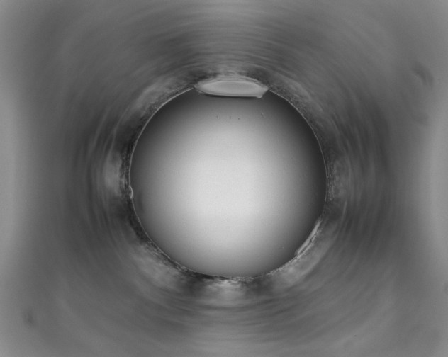 X0000111370140200907101219