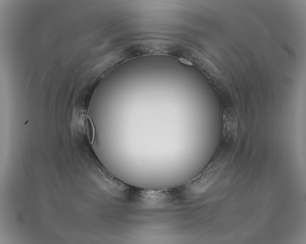 X0000111370141200907101219