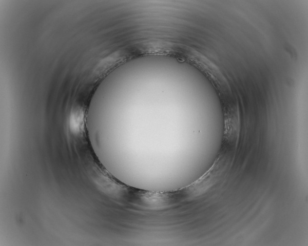 X0000111370142200907101219