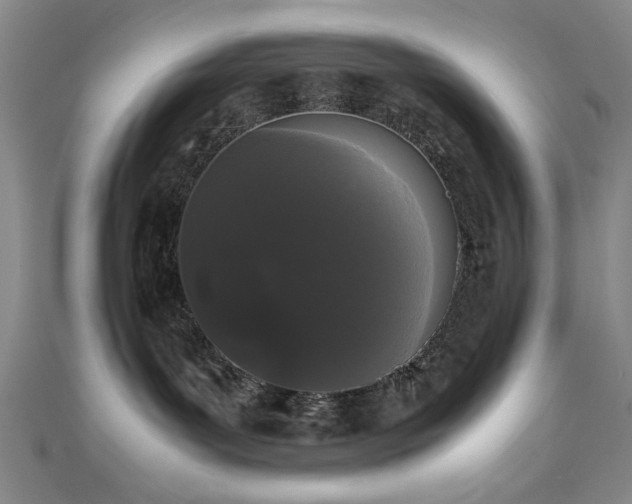 X0000111370143200907101219