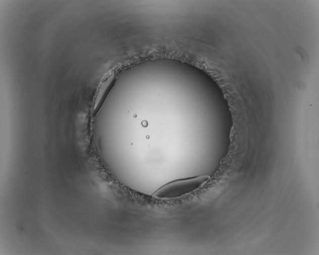 X0000111370144200907101219