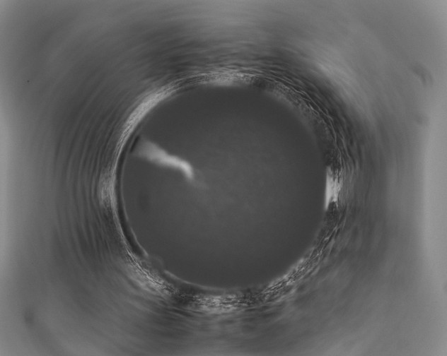 X0000111370147200907101218
