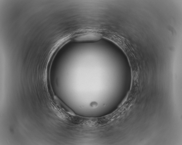 X0000111370148200907101218