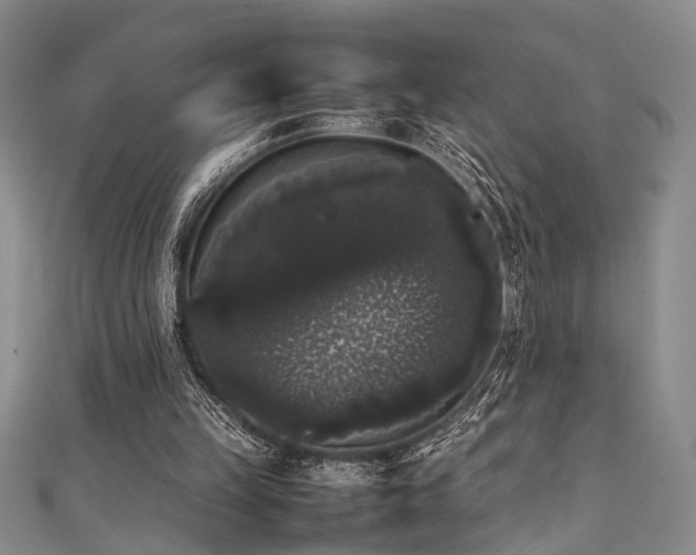 X0000111370149200907101218