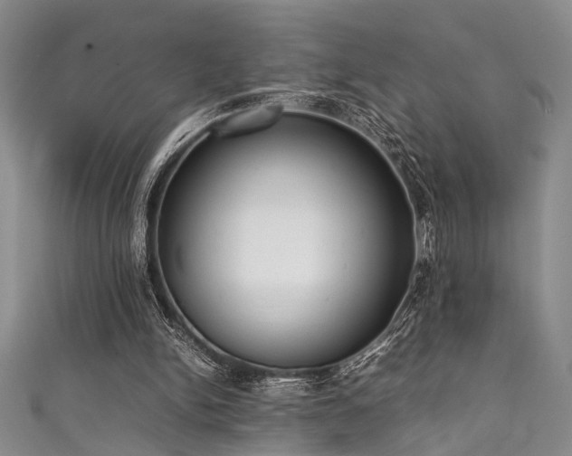 X0000111370150200907101218