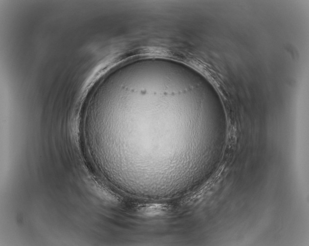 X0000111370151200907101218
