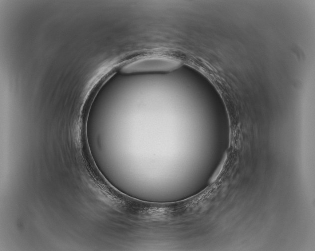 X0000111370152200907101218