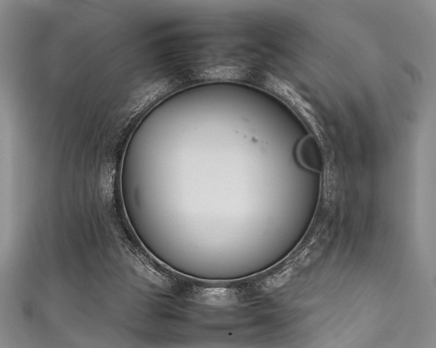 X0000111370153200907101218