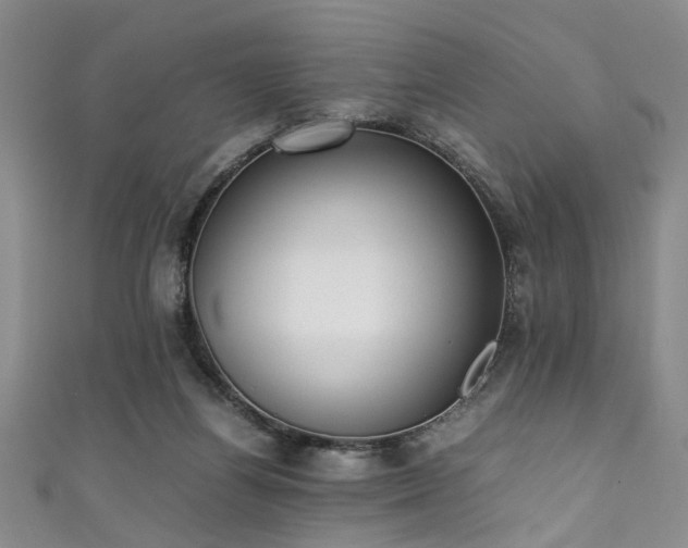 X0000111370164200907101218