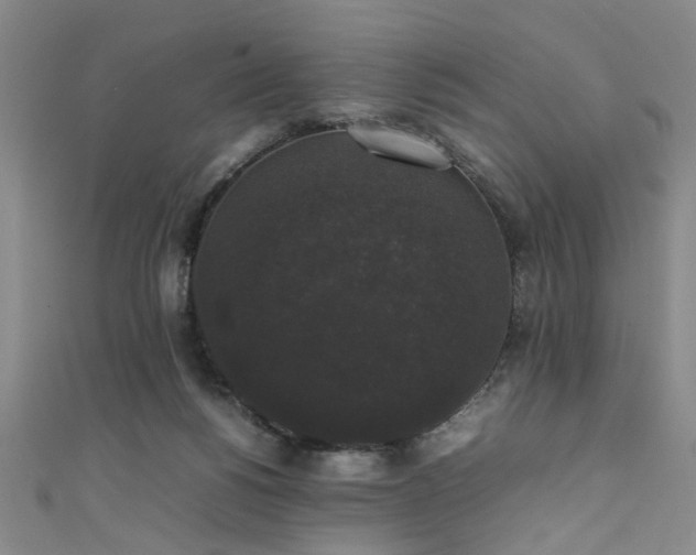 X0000111370168200907101218