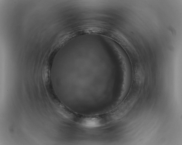 X0000111370169200907101218