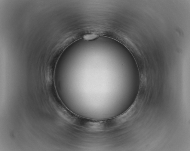X0000111370170200907101218